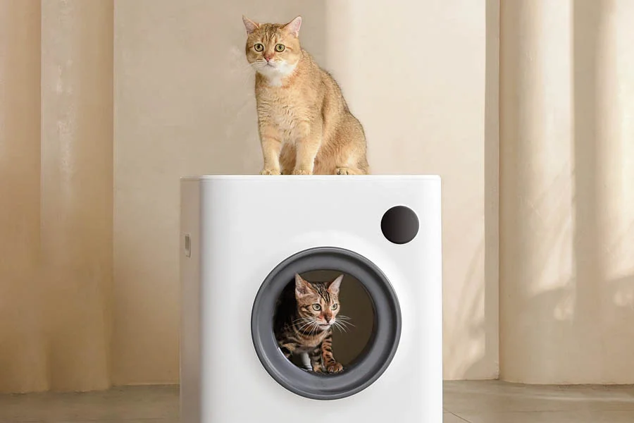 robotic kitty litter box