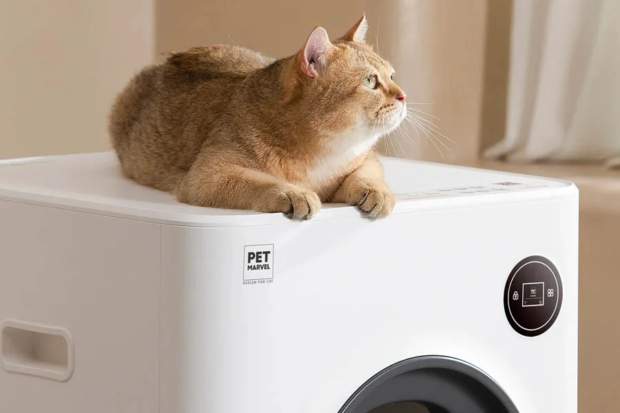 best litter boxes for large cats