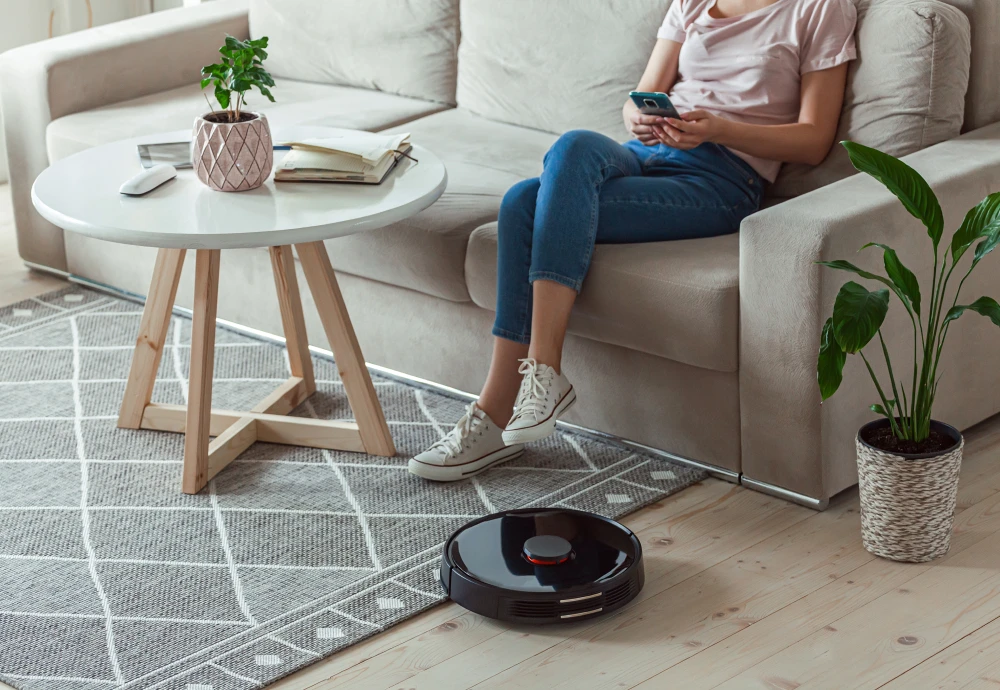 self cleaning vacuum robot